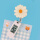米白色 雏菊+数字白表