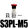 S3PLM5