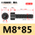 M8*85全/半(60支)
