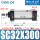 SC32300