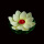 10个白色【15CM】双层花瓣带纹路带荷