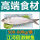 江河鲥鱼【500-600g/条】3条