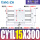 CDY1L15300