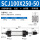 SCJ100*250-50(mm)