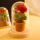 深叶玫瑰花材料包+玻璃罩+灯 送