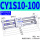 CY1S10-100