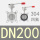 304四氟 DN200