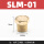 SLM01(1/8)  平头