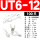 UT6-12（100只）