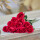 10支雪山玫瑰(大红色)