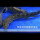 奈及利亚呃鱼恐龙鱼43cm/1条装