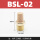 BSL02(1/4) 长头