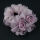 126-A#浅粉紫花朵