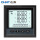 PD666-3S3经济型LCD显示96*96