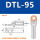 DTL-95(厂标)10只