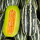 博洋系列美洋甜瓜种子 10粒