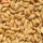 苏北小麦种子1斤