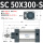 SC50X300S