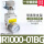 IR1000-01BG(老款) 带指针表和支架