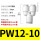 PW12-10-10【5只】