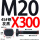 M20X300【45#钢T型】
