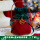 酒红皮桶+圣诞绿绒布袋+金色吊 0个 0cm