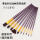 紫色杆尼龙画笔带扇形(10支装)