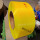 黄色透明14宽0.8厚（10kg）2300米