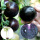 黑珍珠番茄苗 6棵