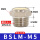 BSLM-M (M5)