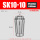 SK10-10(精度0.005)