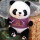 熊猫 紫卫衣
