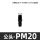 2分公头(PM20) 5个