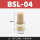 BSL-04(1/2) 长头