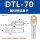 DTL70(国标)10只