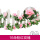 16朵-粉色玫瑰花