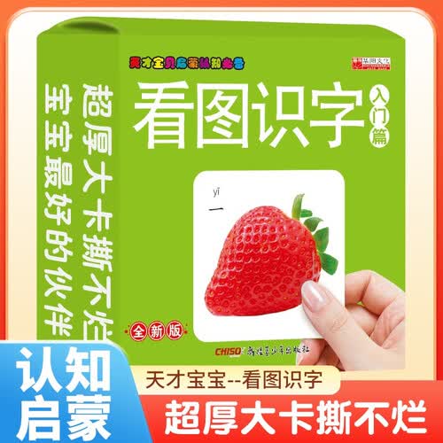 天才宝贝启蒙认知卡 看图识字·入门篇 儿童早教益智玩具识字卡片宝宝启蒙卡片彩色看图识物识字幼儿启蒙认知游戏翻翻书认知大百科认知卡片 [0-3岁][2-4岁]封面