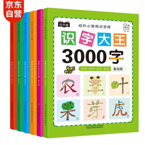 学前识字3000个 识字大王加厚拼音练习幼小衔接教材拼音看图书认知书卡片大全（全6册）封面