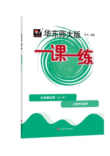 一课一练·九年级化学（全一册）封面