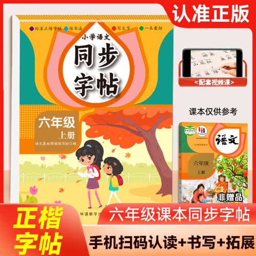 小学语文同步字帖六年级上册 小学生语文练字帖写字课课练生字练习描红每日一练习字帖笔顺笔画部首握笔练习封面