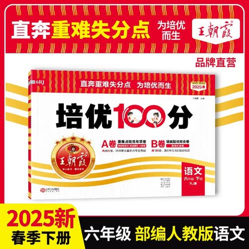2025春王朝霞培优100分六年级语文下册人教版 小学同步试卷AB卷小学单元测试专项期中期末考试卷重难点培优测试卷 名师教你期末冲刺100分卷 王朝霞封面