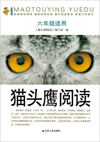 猫头鹰阅读（六年级适用）封面