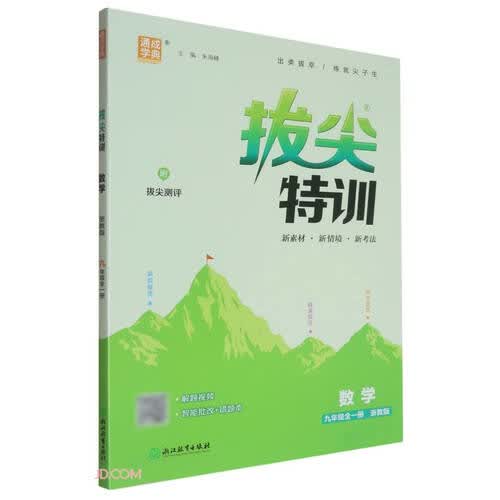 2025秋初中拔尖特训 初中数学 九年级全一册 浙教版 通成学典封面