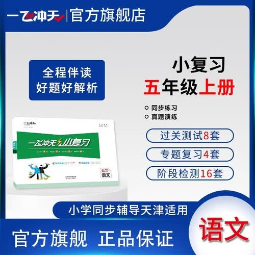 2025秋一飞冲天小学小复习五年级语文上册封面