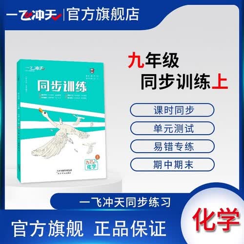 2025秋一飞冲天初中同步训练课时作业九年级化学上册封面