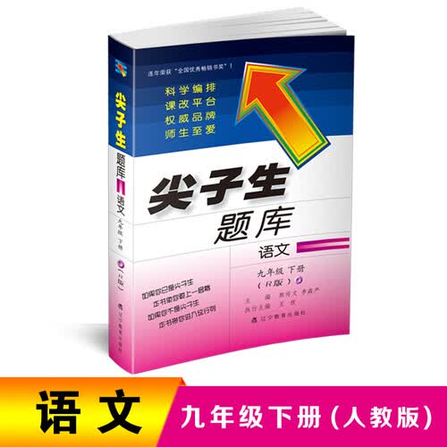 2019春尖子生题库系列：九年级语文下（人教版）（R版）  封面