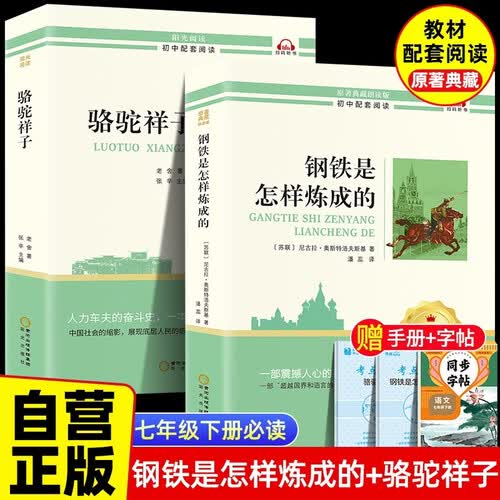 【全3册】钢铁是怎样炼成的+骆驼祥子+同步字帖 七年级下册八年级下初中初一阅读书目人教版教材配套阅读书籍封面