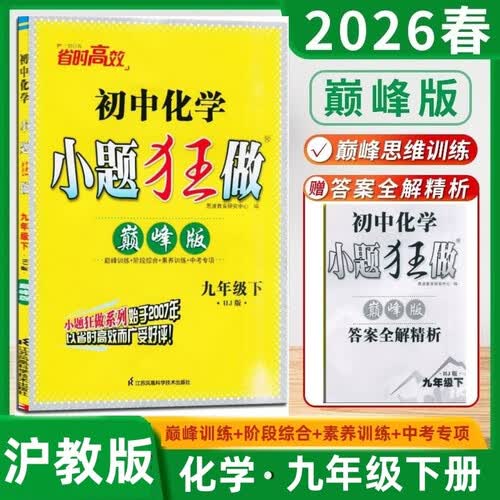 2026春恩波教育初中小题狂做巅峰版九年级下册化学沪教版封面