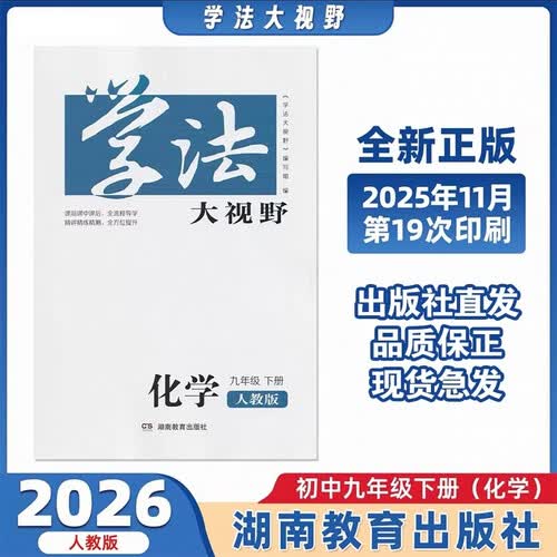 学法大视野·化学九年级下册（人教版）封面
