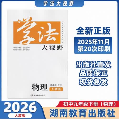 学法大视野·物理九年级下册（人教版）封面
